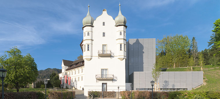 Schloss Hofen